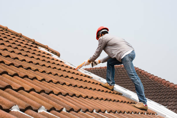Best Roof Repair  in Luxora, AR