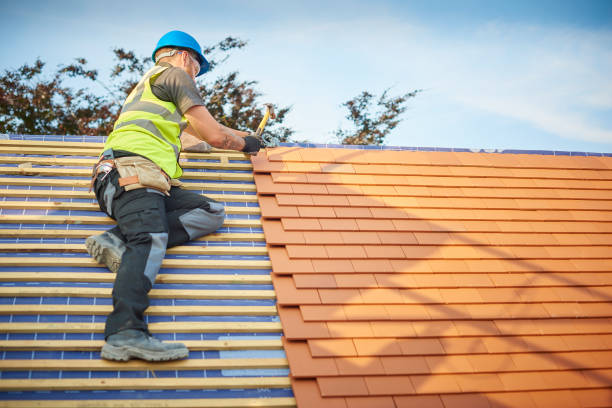Best Solar Panel Roofing Installation  in Luxora, AR